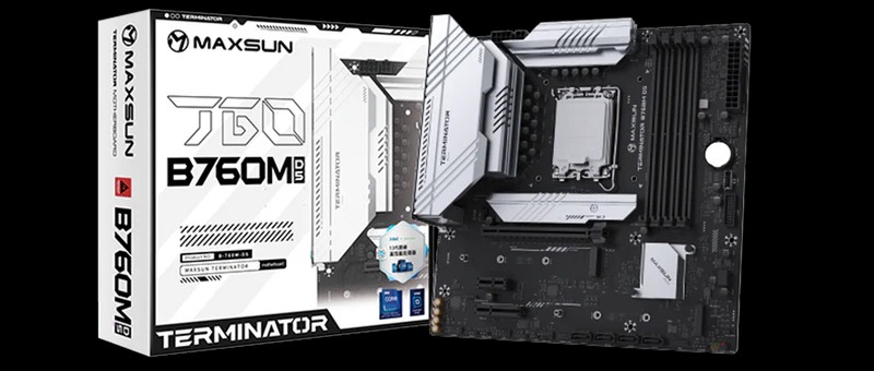 MS-Terminator B760M D5 V2